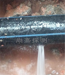 重庆消防管道漏点探测